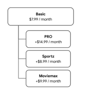 每位用户都从 Basic 频道开始，并且可以选择添加 PRO、Sportz 和 Moviemax 频道的任意组合。