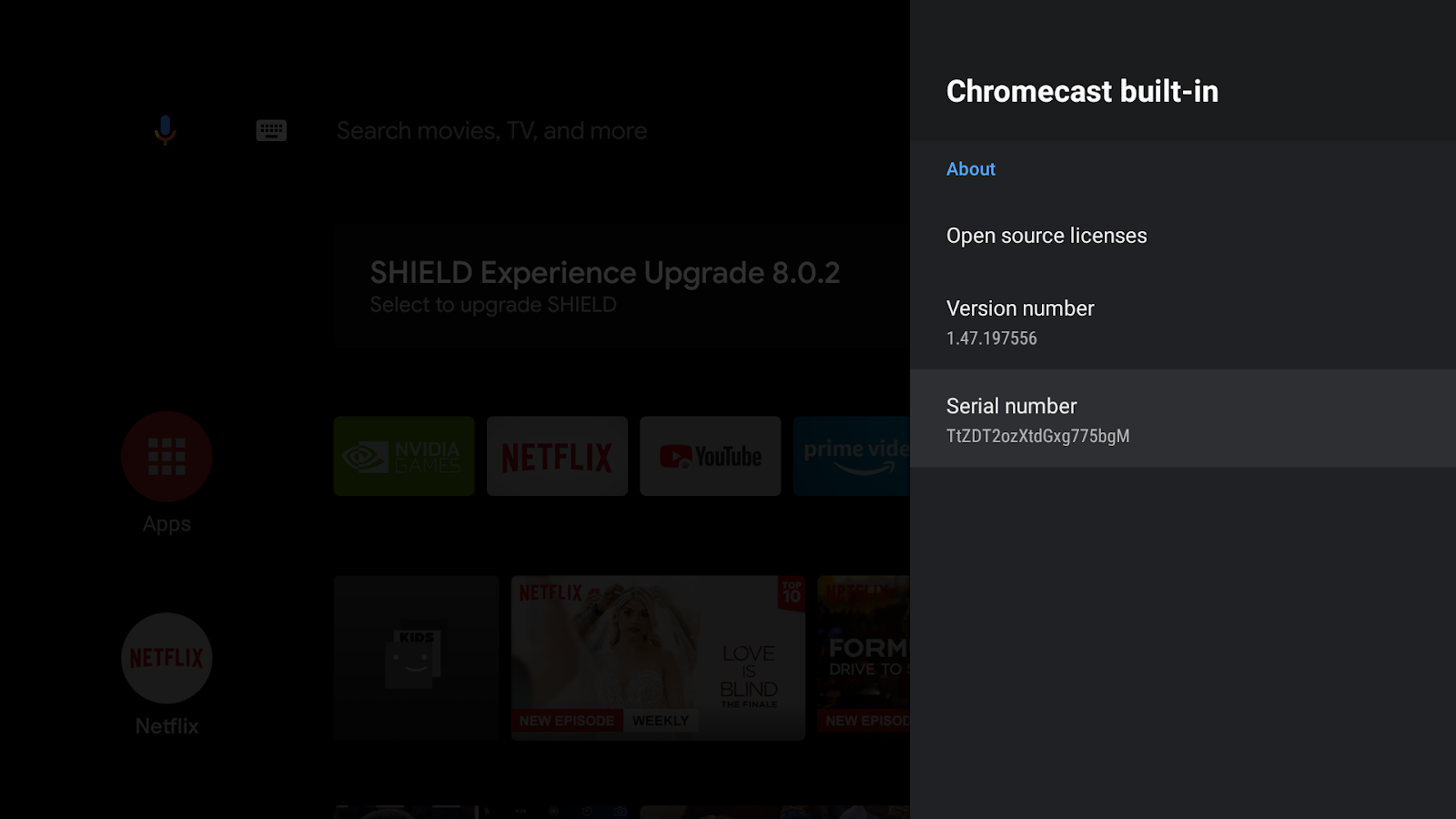 Imagem da tela de um Android TV mostrando o &quot;Chromecast built-in&quot; o número da versão e o número de série