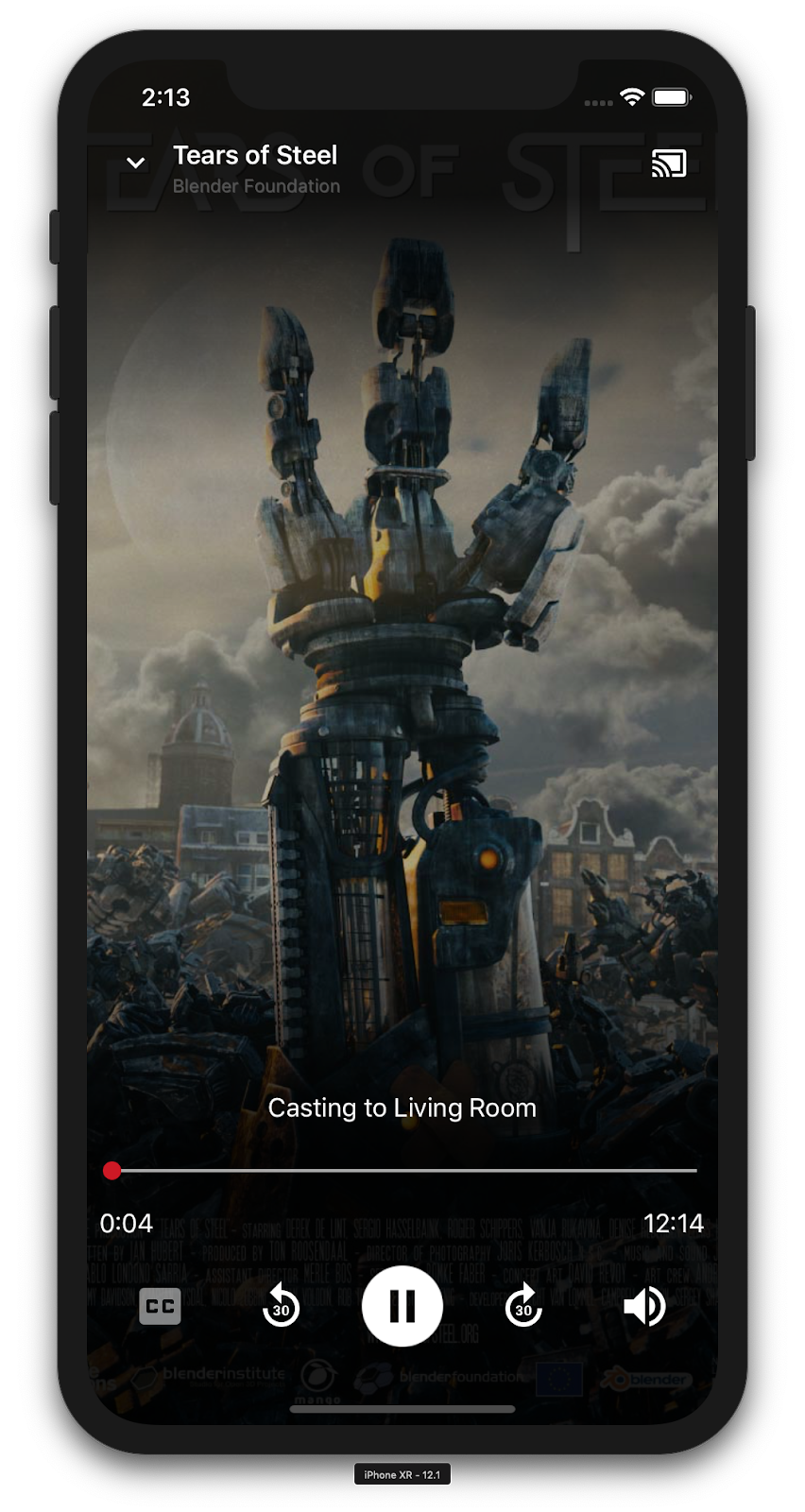 插圖：iPhone 執行 CastVideos 應用程式，播放影片，底部顯示展開的控制器