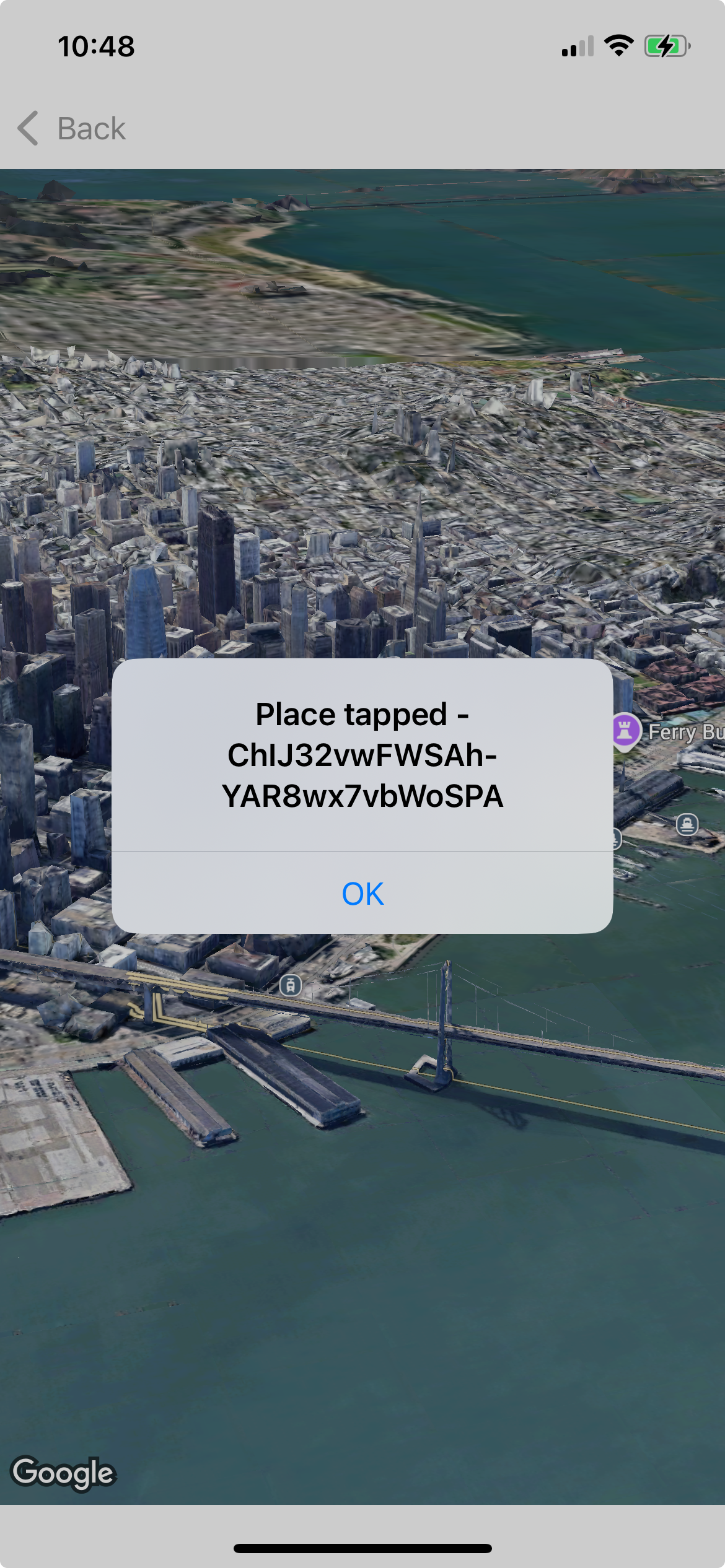 Mappa che mostra una finestra popup con un ID luogo