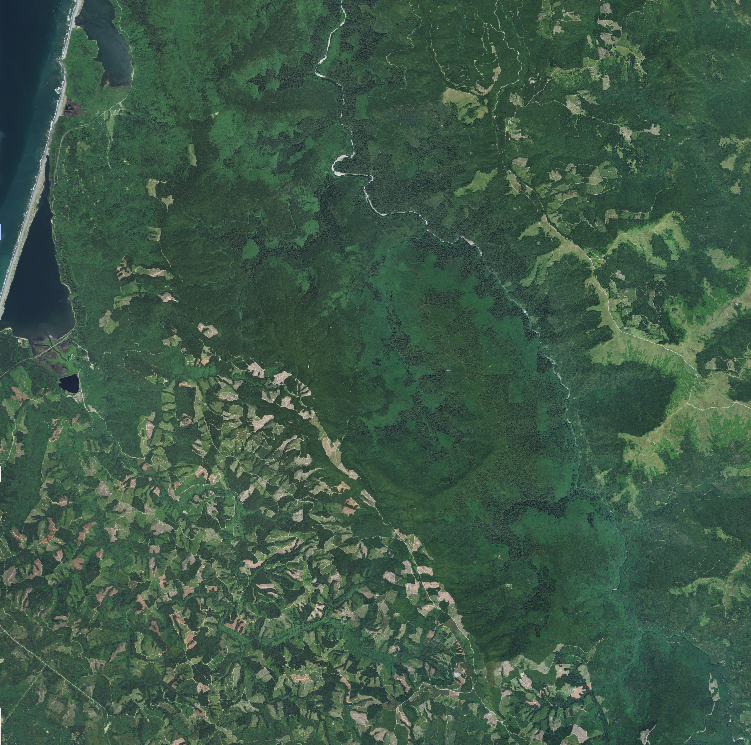 reduzir a entrada de vizinhança