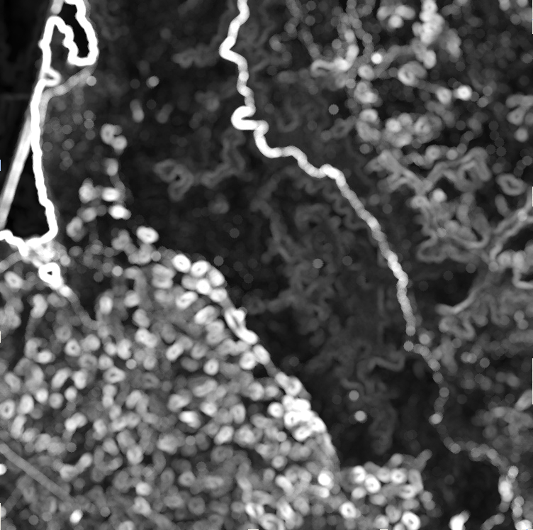 đầu ra reduceNeighborhood