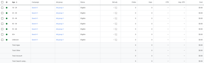 Google Ads यूज़र इंटरफ़ेस (यूआई) की उम्र वाली स्क्रीन