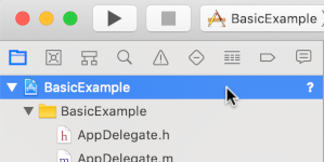 图片：显示了在 Xcode 的左侧窗格中点击项目名称的位置