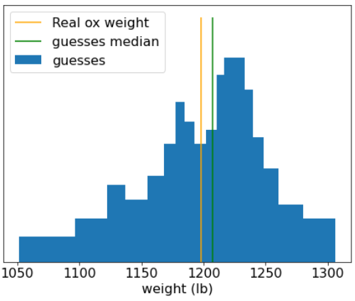 image_tooltip Histogram setiap tebakan, yang menunjukkan sebagian besar tebakan yang terkumpul di sekitar
berat sapi yang sebenarnya.