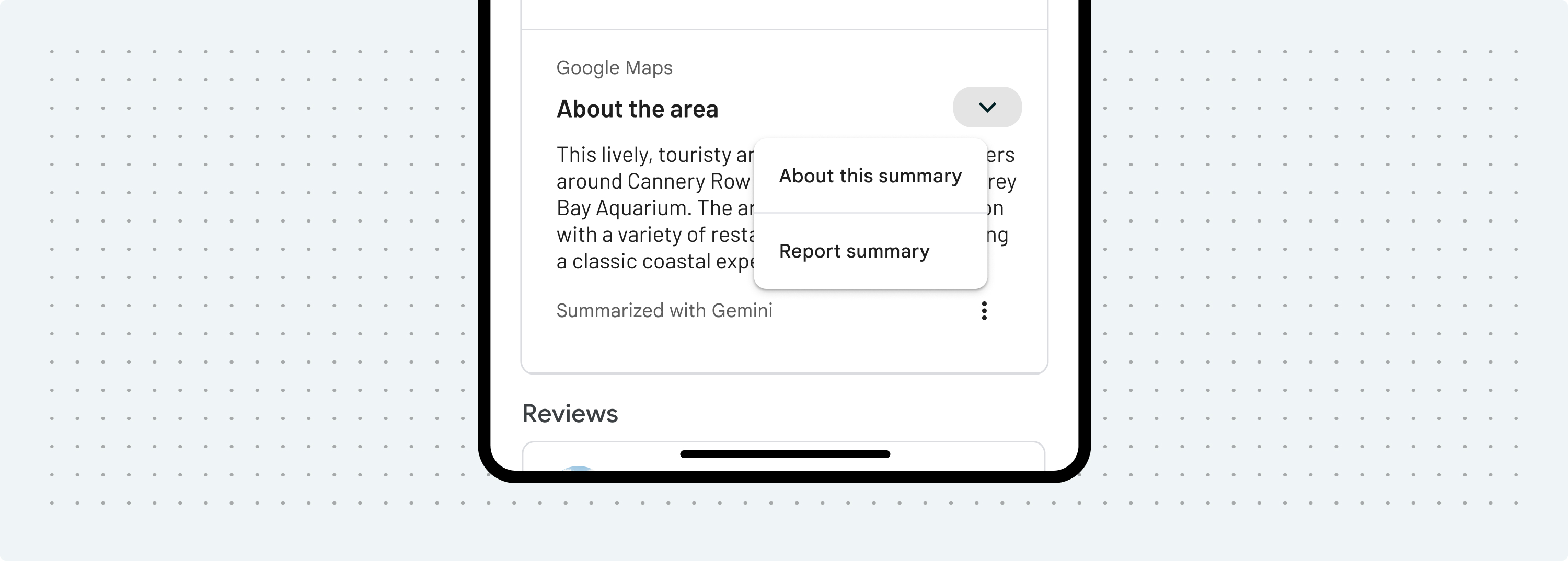 Disclosure for place and area summaries
