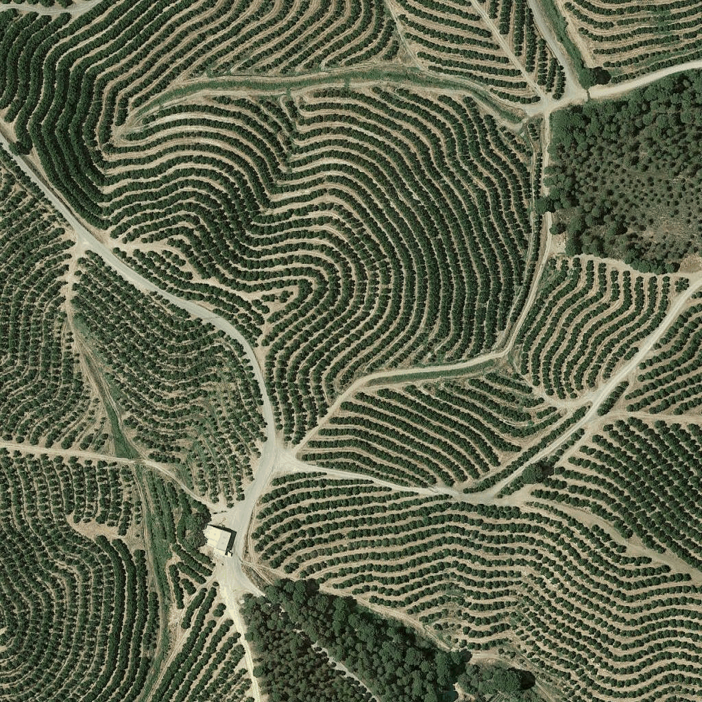 Descripción general del mosaico satelital