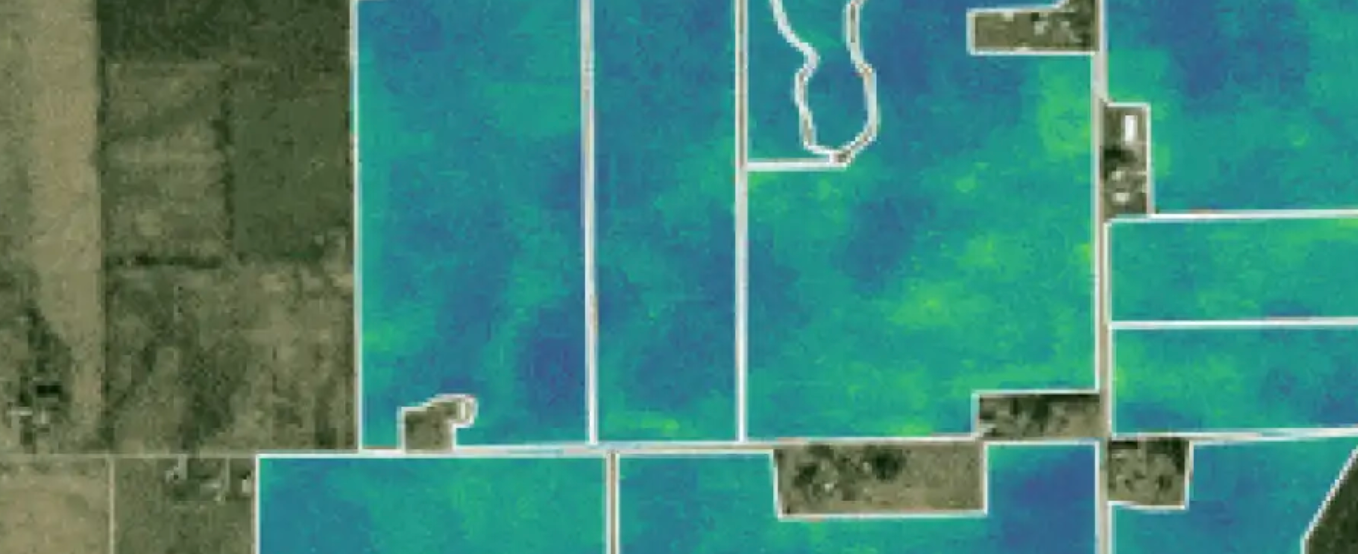 مستندات &quot;إحصاءات Google&quot;