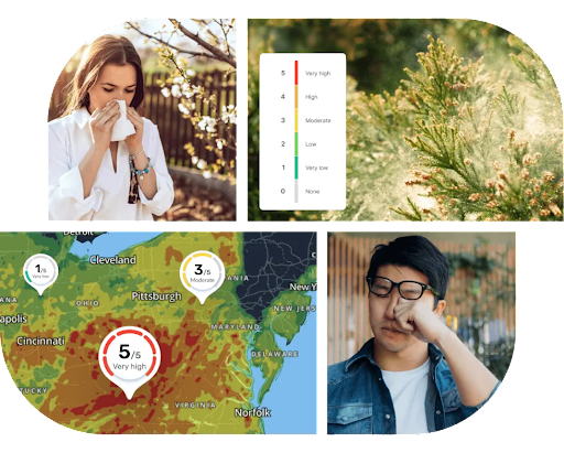 Collage de personas estornudando y representaciones de la API de Pollen.