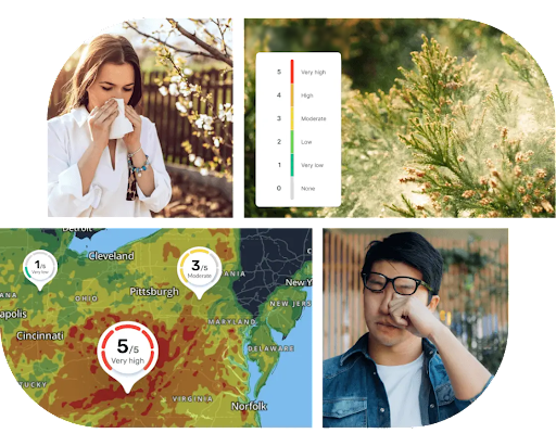 Collage de personas que estornudan y renderizaciones de la API de Pollen