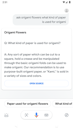 FAQ on Google Assistant