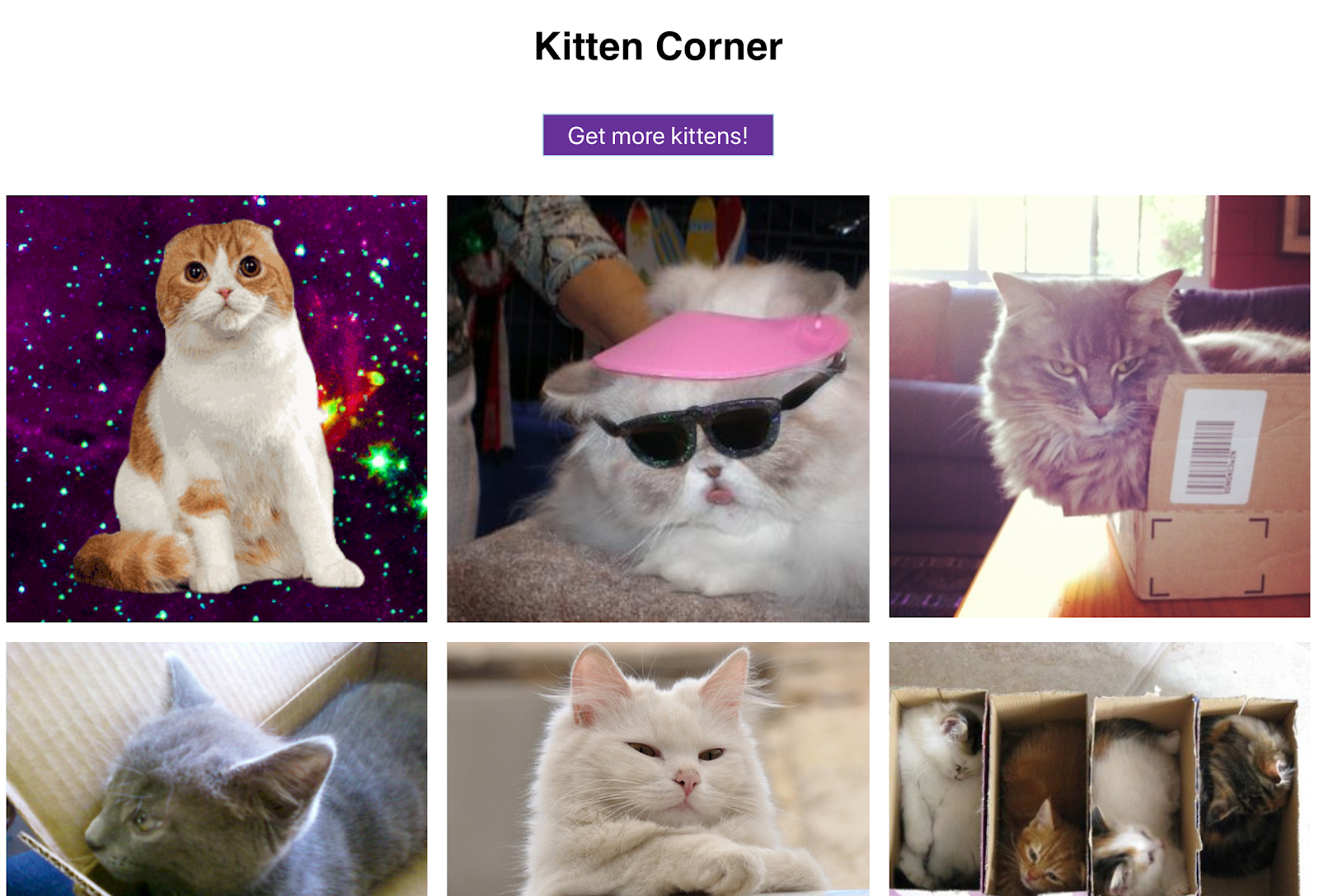 网格中的可爱猫咪图片以及一个用于显示更多内容的按钮 - 这个 Web 应用真的是一应俱全！