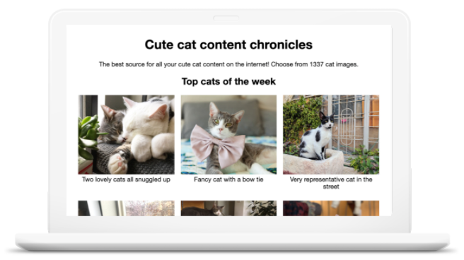 Website mit 6 verschiedenen Katzenbildern. Der Titel der Website lautet „Cute cat content chronicles“.
