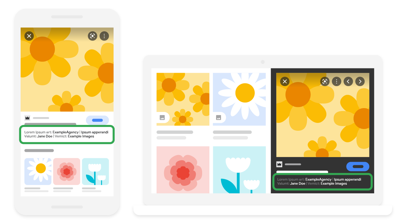 Exemple de métadonnées d'image dans Google Images