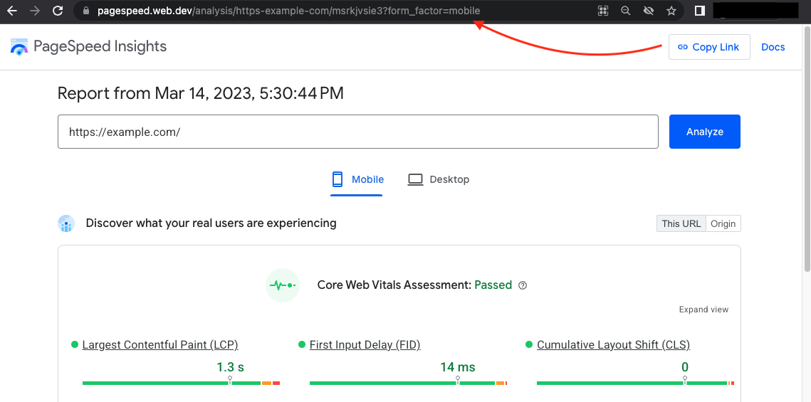PageSpeed Insights 界面中可分享链接的屏幕截图。
