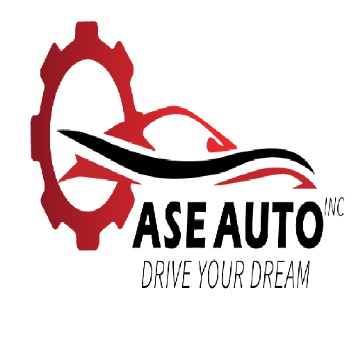 ASE AUTO INC logo