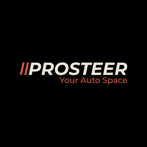 Logo PROSTEER