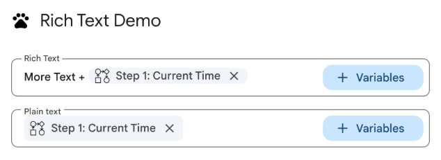RICH_TEXT ve PLAIN_TEXT olarak yapılandırılmış metin girişi widget'ları