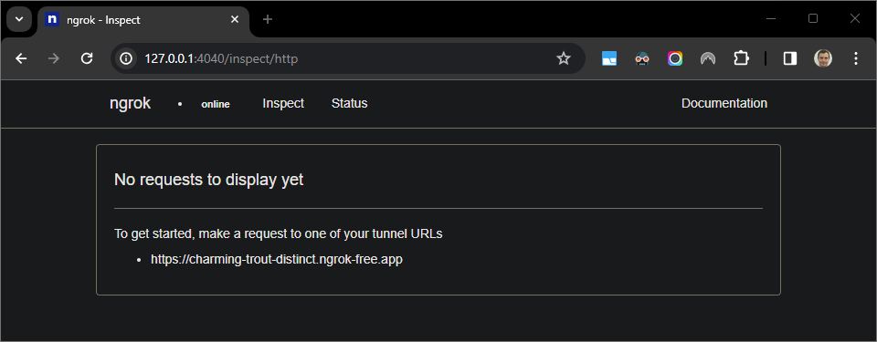 `ngrok` ऐप्लिकेशन के होस्ट किए गए वेब इंटरफ़ेस में कोई एचटीटीपी अनुरोध नहीं दिख रहा है